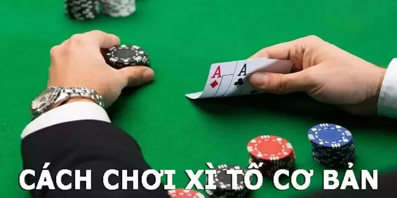 Hướng dẫn chơi xì tố từ A - Z cho newbie